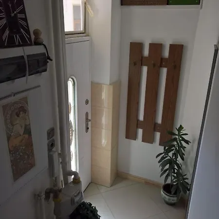 Sunflower * Будапешт